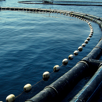 公司的各种紫外线技术有帮助